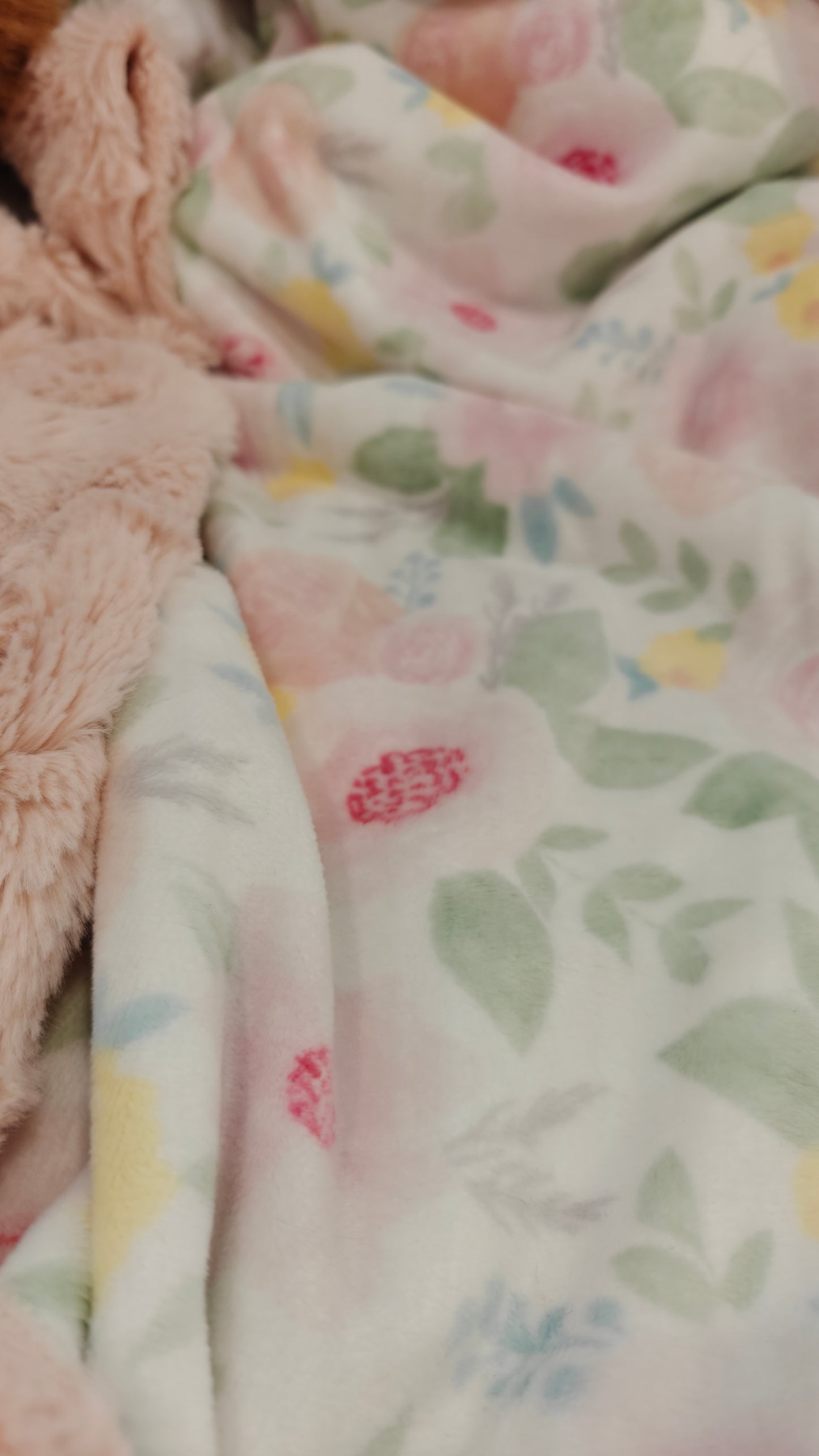 Plush Blush Floral Minky