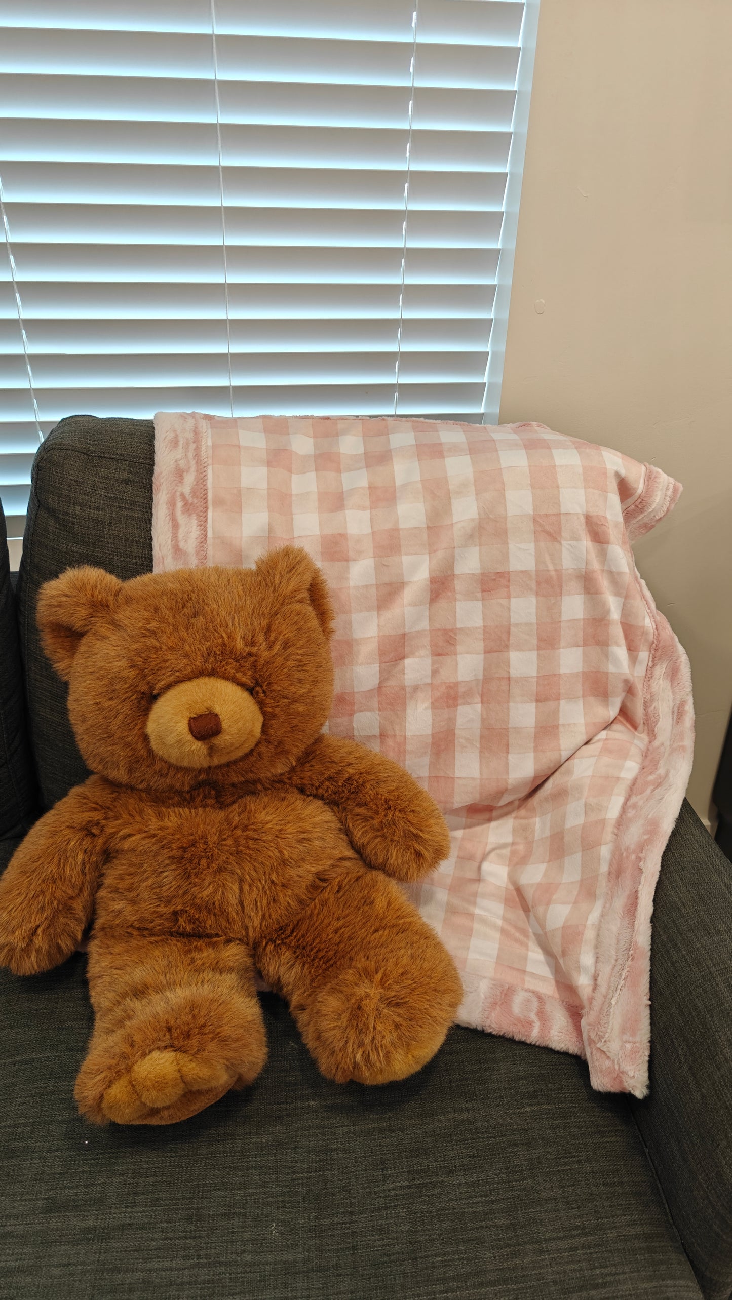 Minky Gingham Baby Blanket