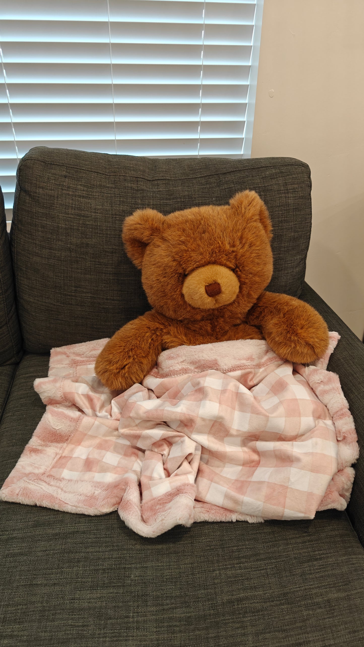 Minky Gingham Baby Blanket